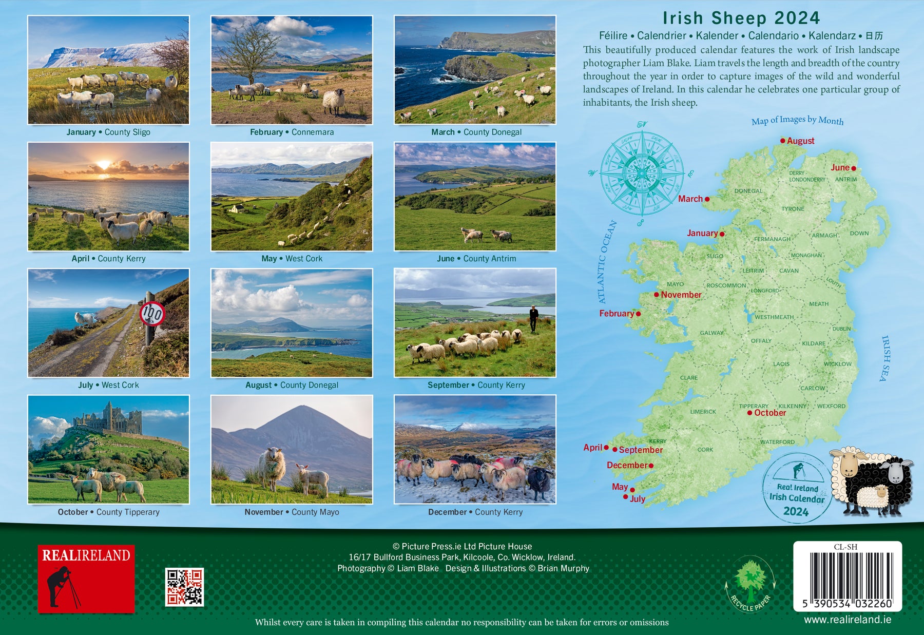 Irish Sheep Calendar 2025 Real Ireland Picture Press